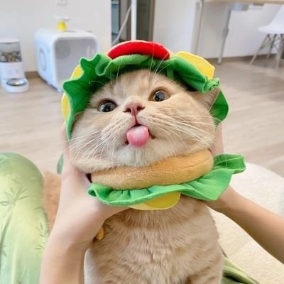 arnee33170's profile picture. รีวิวทุกอย่างที่อยากได้ ไอ้ต้าวเพื่อนรัก😁🛒