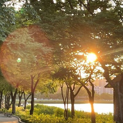 COuida69925's profile picture. Cooking is my way of building a fortress of flavor. #FortressOfFlavor #CulinaryFortress