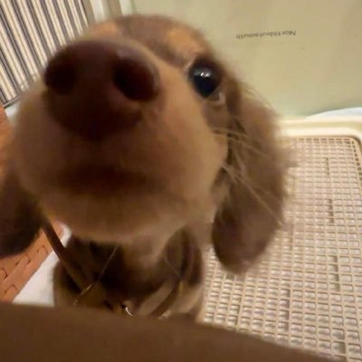 dongyvoung's profile picture. blablablabliblibliblublublu