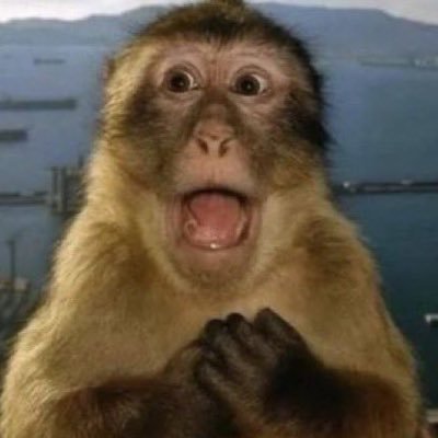 sousdelune's profile picture. 