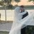MhmdHawash's profile image
