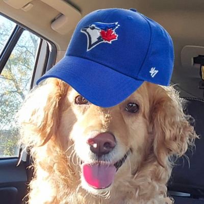 lainey_372's profile picture. 