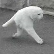 GeiRvs's profile picture. APEX🖱️⌨️/Z33