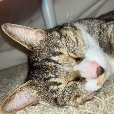 kaisora0910's profile picture. 