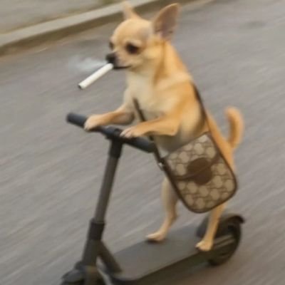 JosephJoas50010's profile picture. 