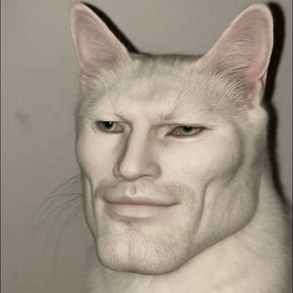 4qilahrazak's profile picture. yes ya right kanan