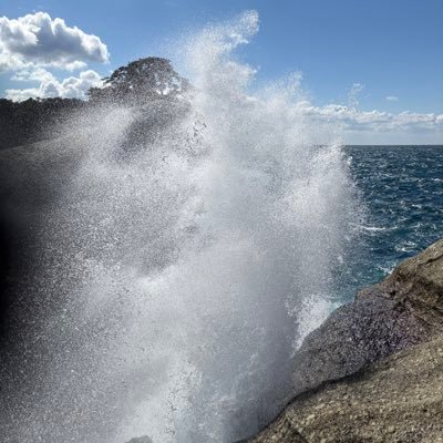 C13_F43's profile picture. 06/広島東洋カープ／北海道日本ハムファイターズ/FRUITS ZIPPER / CANDY TUNE / SWEET STEADY / CUTIE STREET