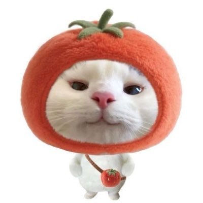 MT_AIAL's profile picture. 