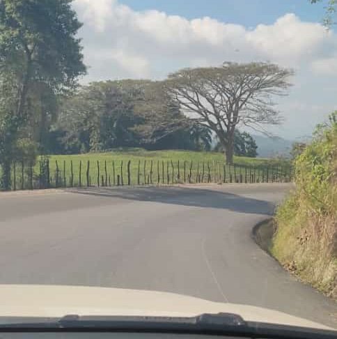 Andres_2983's profile picture. 