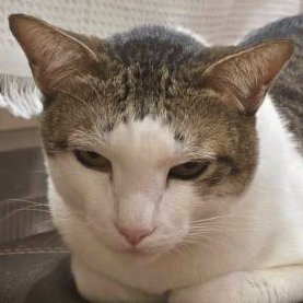 DChanpenBAA's profile picture. เพื่อนเรียกมี๊ตุ๊ก เป็นแม่แงวเลี้ยงเดี่ยว​ เป็นแอคคนสวยคนเส้าคนฮ๊อตไลค์กะไฟเย่อร์ เป็นบ้าโด้ย