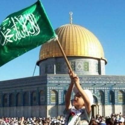 EriFurkan88725's profile picture. 