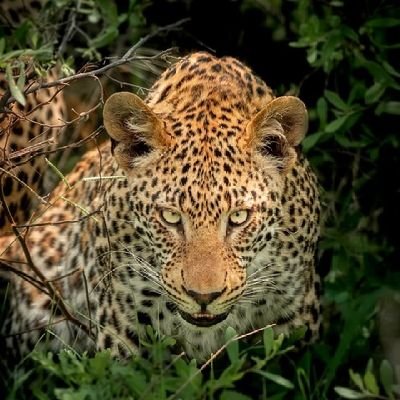 Altruismoe95203's profile picture. Logró de la vida, es la calma.