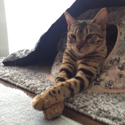 bqshxBC2sr63717's profile picture. よろしくです！  知ってる方フォローしていきます！