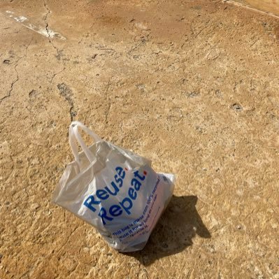 pigbarna's profile picture. 🔞