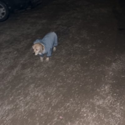 duhabce's profile picture. 