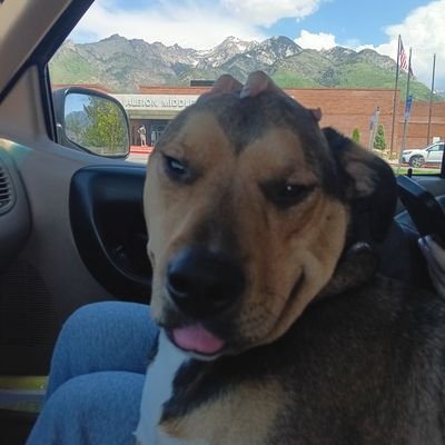 Kk66slc's profile picture. 