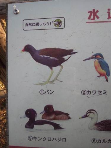 heroban1192's profile picture. 立教大学：)国際経営：)横須賀高校：)笠原ゼミ：)海外インターン：)卓球：)DT:)LP:)RHCP:)Mr.Children:)YUI:)LOVE PSYCHEDELICO:)人間観察：)please follow me!!