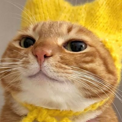 jejemuran's profile picture. 🌻