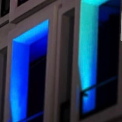 __inu___'s profile picture. 🌾