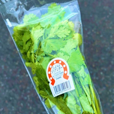 wawawa220's profile picture. オタク 成人 なんもない