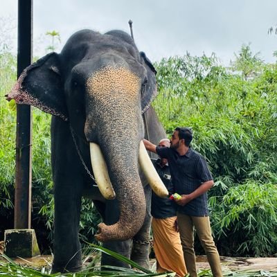 Shyamjithsaji's profile picture. 