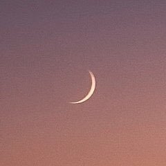 straykidsmap's profile picture. for 스트레이 키즈