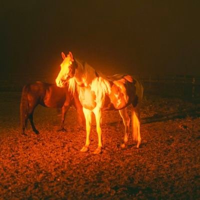 Anveora's profile picture. Do not be Deceived