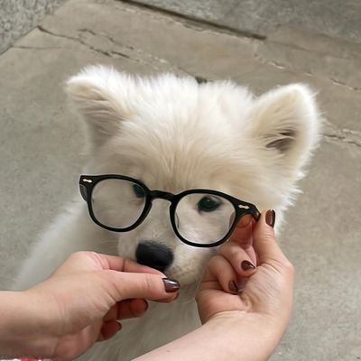 amuv3123's profile picture. ก็ชอบให้รู้ว่าชอบ！！