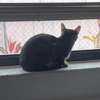 hmwhatami's profile picture. layman physics & dbd.