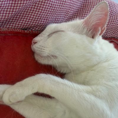 lalixxie's profile picture. 