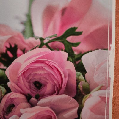 x4_grace's profile picture. Félicitée par Président Chirac en 1999 ☎️ HPI_Norme 🤓 Amen Hallelou-Yah 🍀