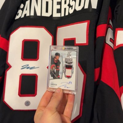 Franktheman1810's profile picture. die hard sens fans here looking to get a voice for the team I love #Gosensgo #sensnation #sensarmy #leafssuck