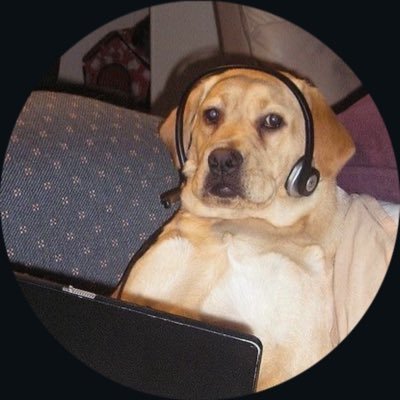 NaderAshehab7's profile picture. في الجنه 74🦅