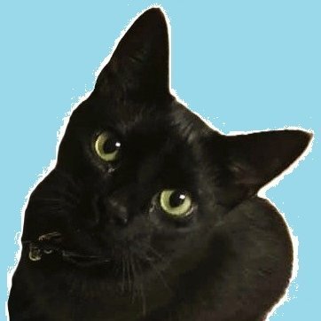 paccatwealth's profile picture. A small family investment office focused on leaving a legacy for our future generations. Not investment advice.