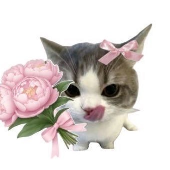 mu_mimumi's profile picture. 