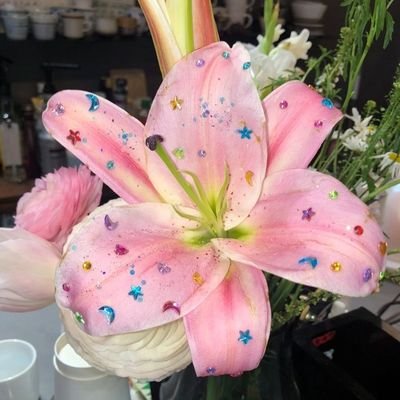 beebaboolps's profile picture. — move account @dnooldes