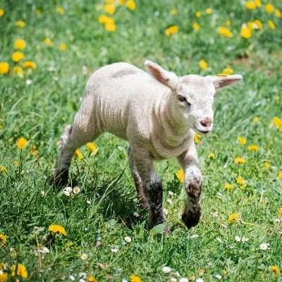 xaany29922589's profile picture. 何も証明しなくていい。心から生きる人には、世界がそっと道を開ける。🌤