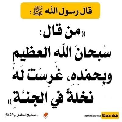 Hamef288496's profile picture. 