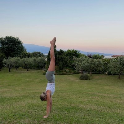 Siennairb's profile picture. We delight in the beauty of the butterfly, but rarely admit the changes it has gone through to achieve that beauty.——Maya Angelou