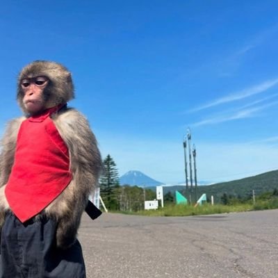 DUKlummie's profile picture. 