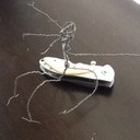 Eric Cade - @CadeEric - Twitter