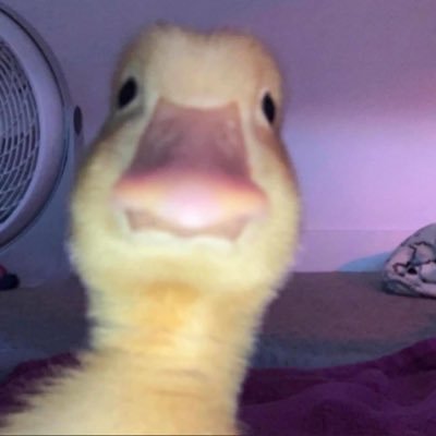 exotic_brain's profile picture. 