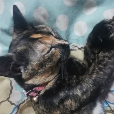 MGonlylove2's profile picture. Y o u