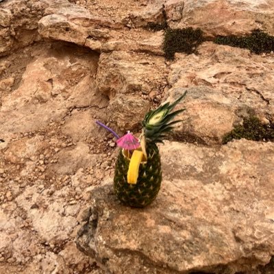 fnnluv's profile picture. 