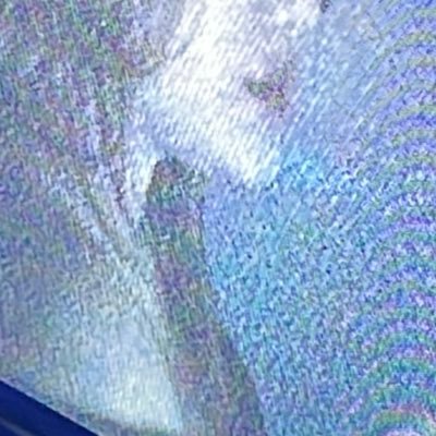 grxcewasd's profile picture. i’m just a girl in the fucking world