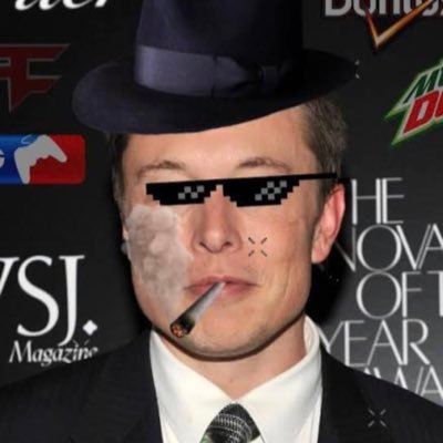 MLGelon's profile picture. CEO of @X / $TSLA m8 | Prestige Master Memelord | $MLG Maxi. Reviving the golden era of gaming. $MLG is the blueprint. posts are NFA.