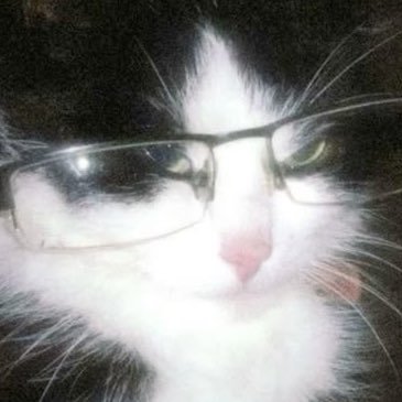 kcy92's profile picture. 밤은 이제부터🌃成人済/無言フォロー失礼します