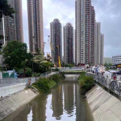 mrtomface1's profile picture. CEO TeslaMotors👍