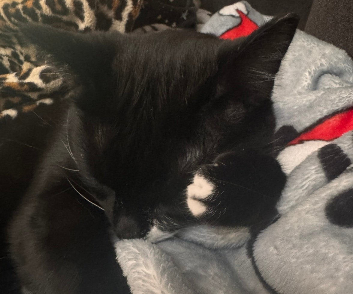 Erinvao8's profile picture. 