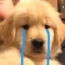 callme3398's profile picture. 